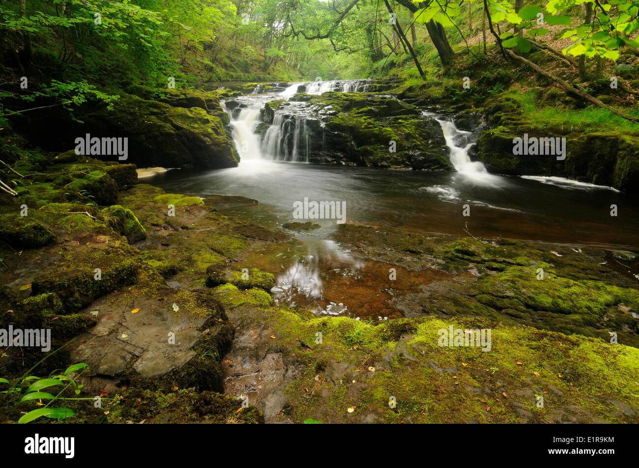 Cascate Horseshoe Parco Nazionale di Brecon Beacons Foto Stock