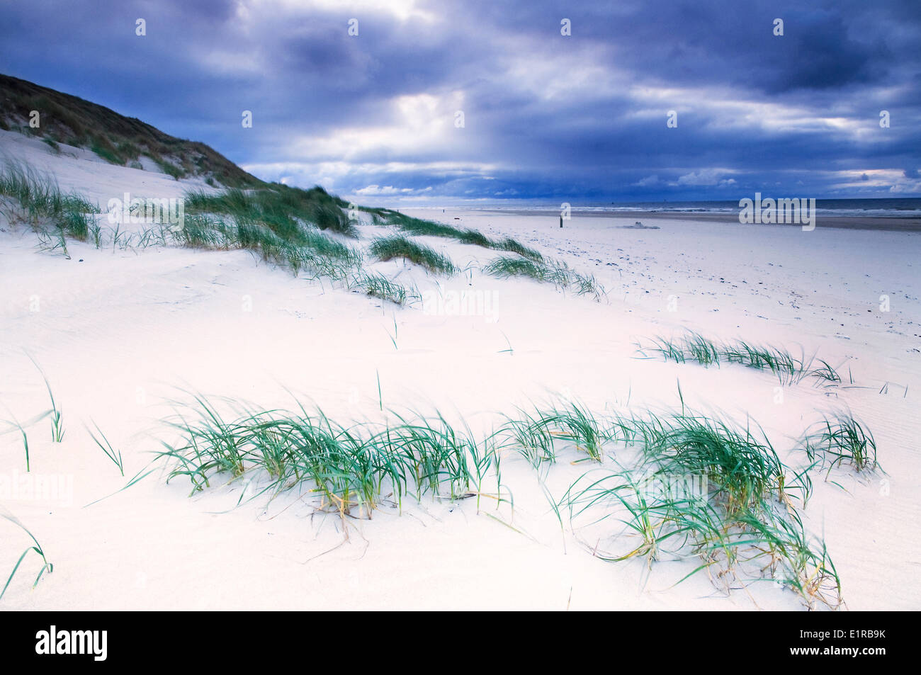 Dune e beachgrass sul northseabeach di Vlieland di sera Foto Stock