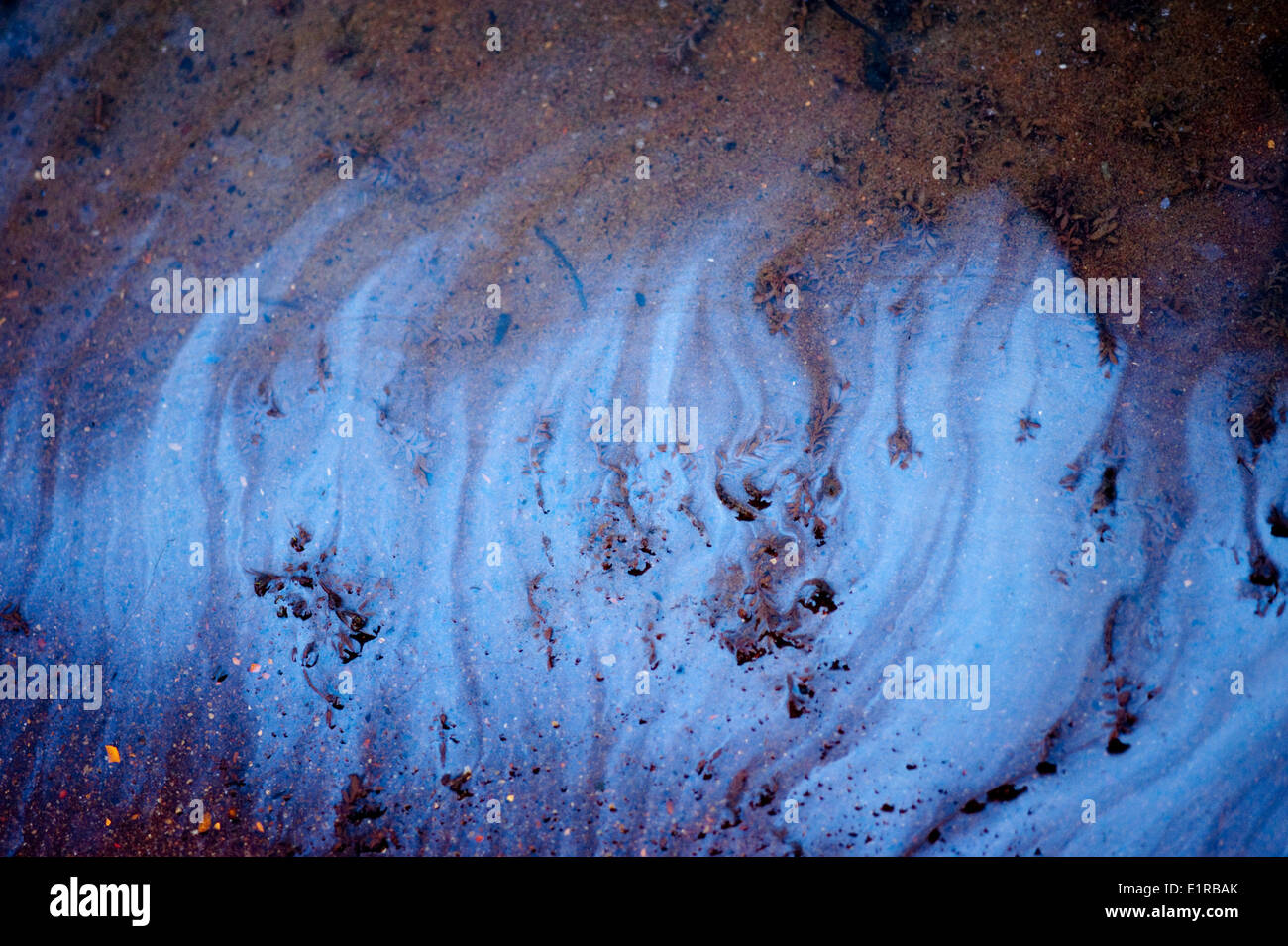 Il biofilm ai piedi di una duna Foto Stock