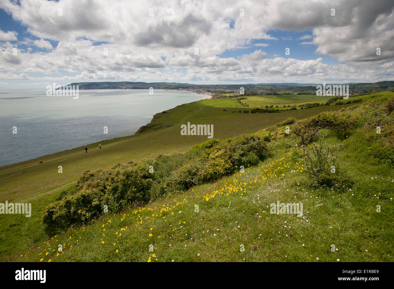 Culver giù, Sandown Bay, Sandown, Isle of Wight, Regno Unito, Foto Stock