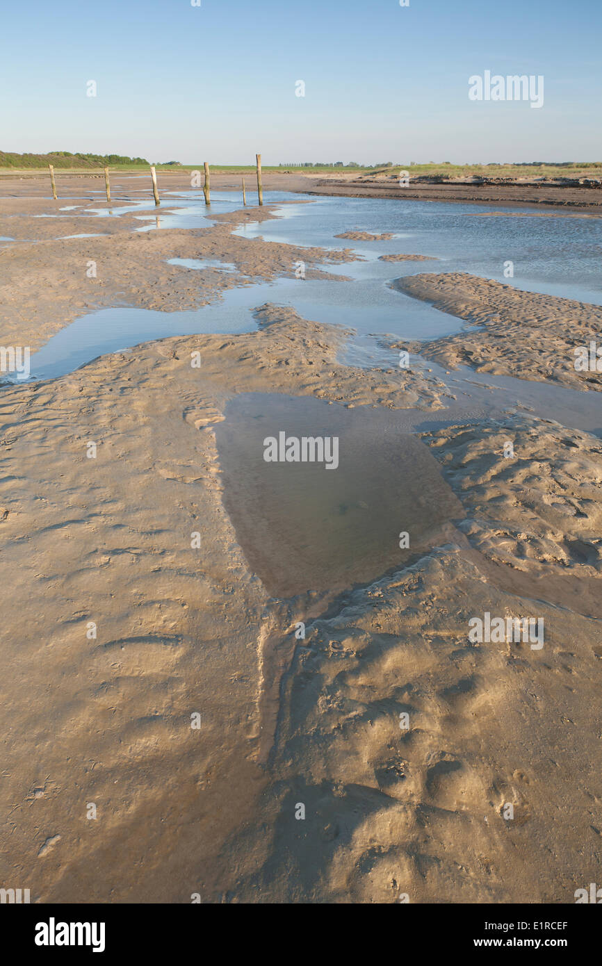 Natura 2000-site Het Zwin si trova proprio al confine Belgian-Dutch. Si tratta di uno dei rari casi di ingressi di acqua di mare nelle dune. Foto Stock