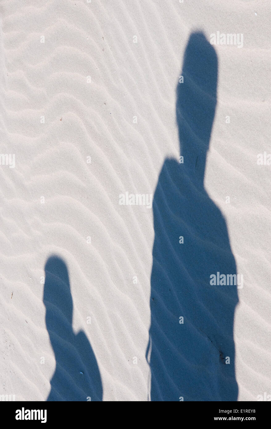 Uomo ombra su sanddune Foto Stock