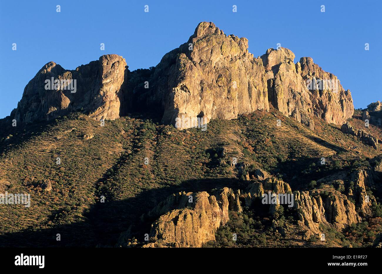 Vista sul paesaggio di Big Bend N.P. in Texas U.S.A. Foto Stock