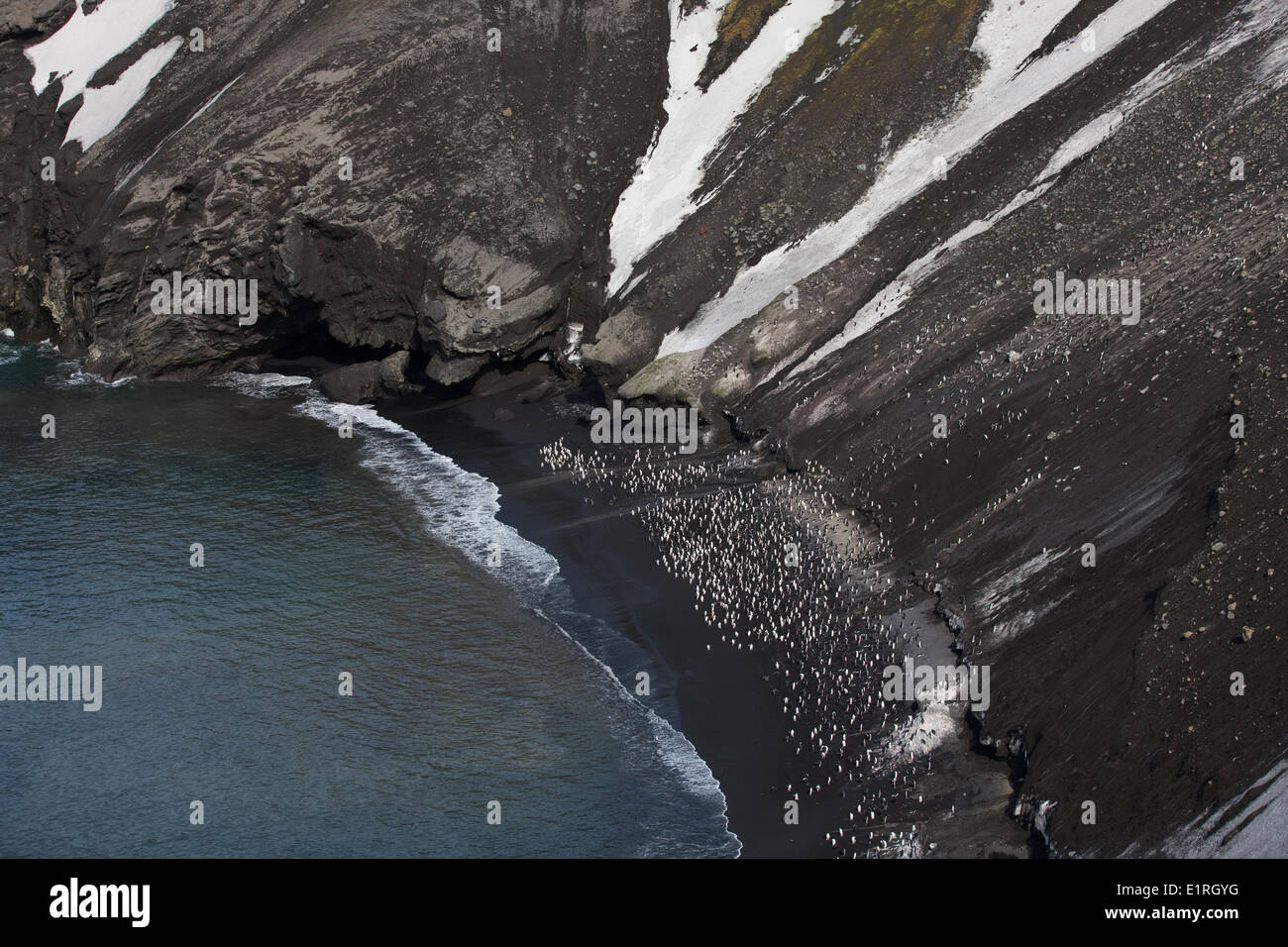 Guardando verso il basso sul buio ashy spiaggia a testa Baily, isola Deception, dove grandi numeri di pinguini dal sottogola (Pygoscelis Foto Stock