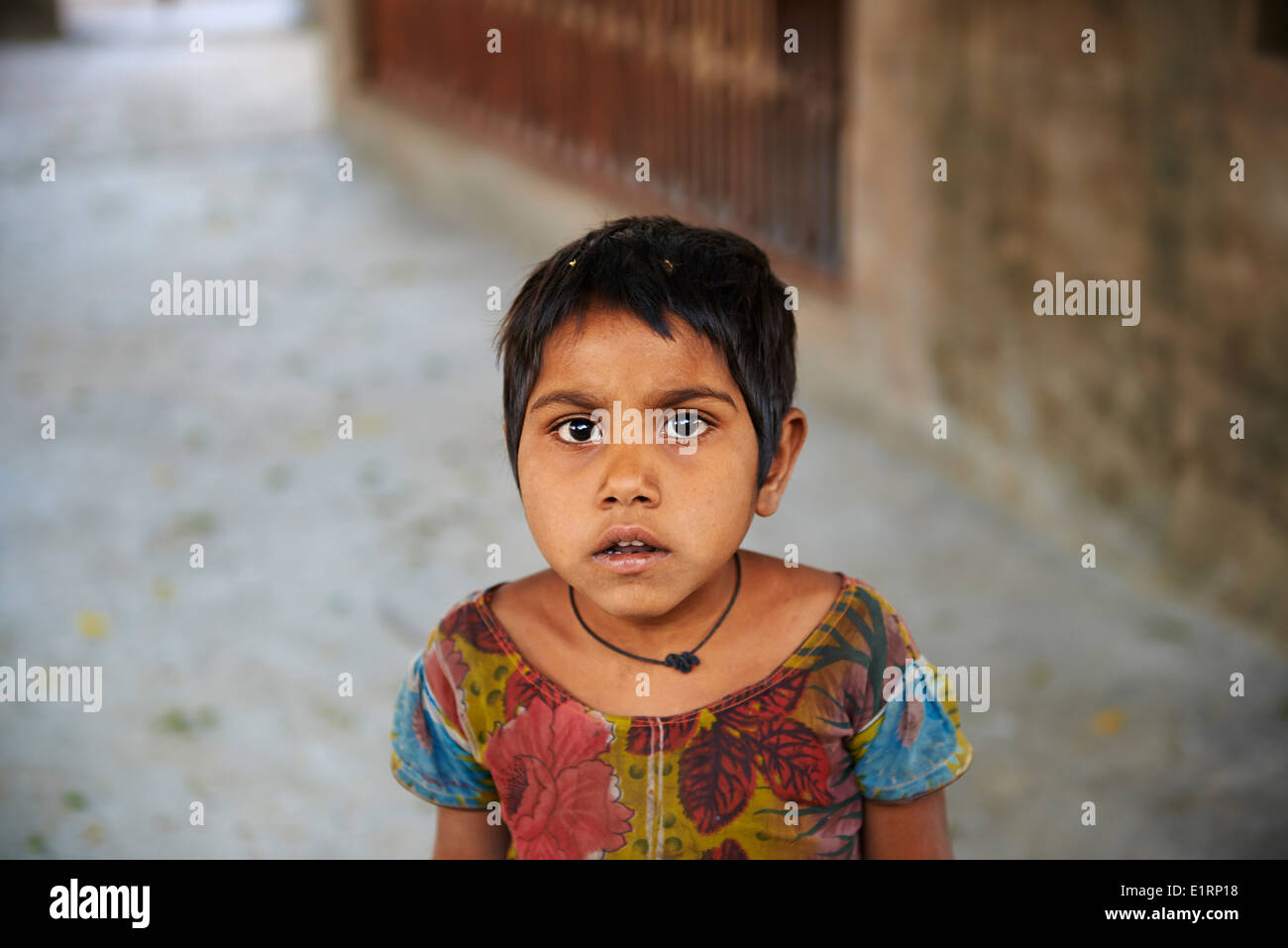 India Rajasthan, Meda village intorno a Jodhpur, Rabari gruppo etnico Foto Stock