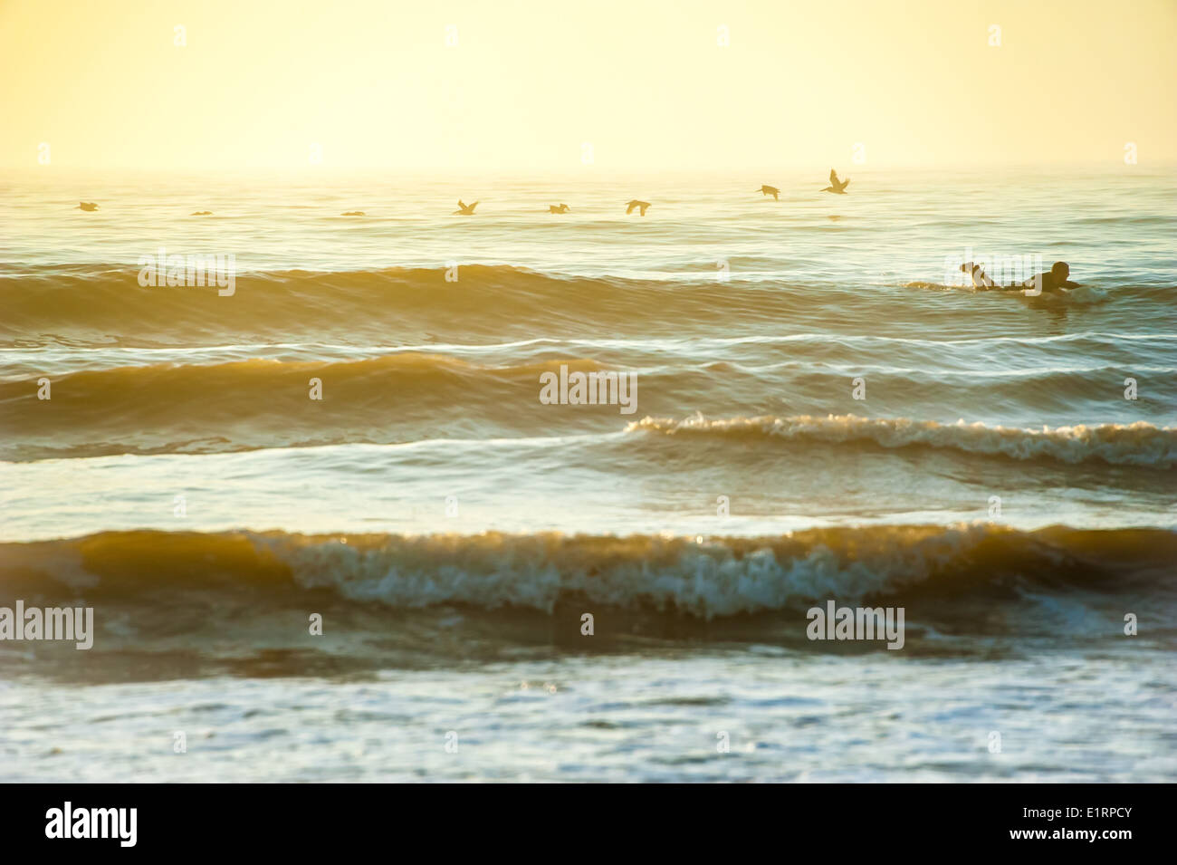 Surfer godendo la solitudine di un inizio di mattina, sunrise surf session a Jacksonville Beach sul litorale orientale della Florida. Stati Uniti d'America. Foto Stock