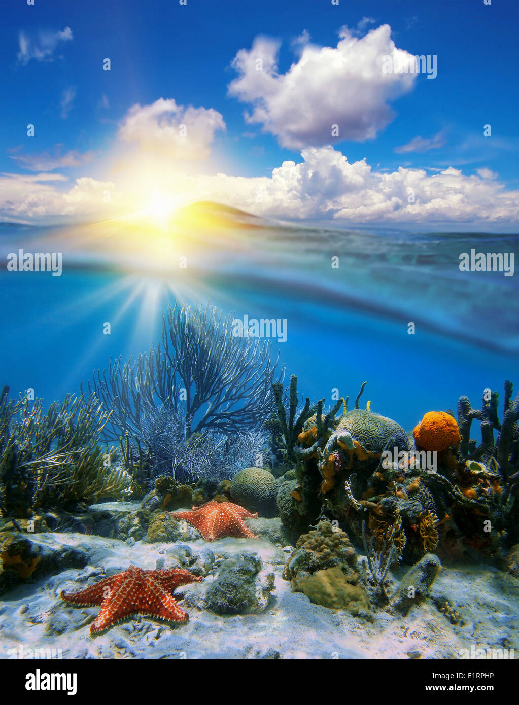 Nuvoloso blu cielo con la luce del sole e subacquea Coral reef con stelle di mare diviso dalla linea di galleggiamento in mare dei Caraibi Foto Stock