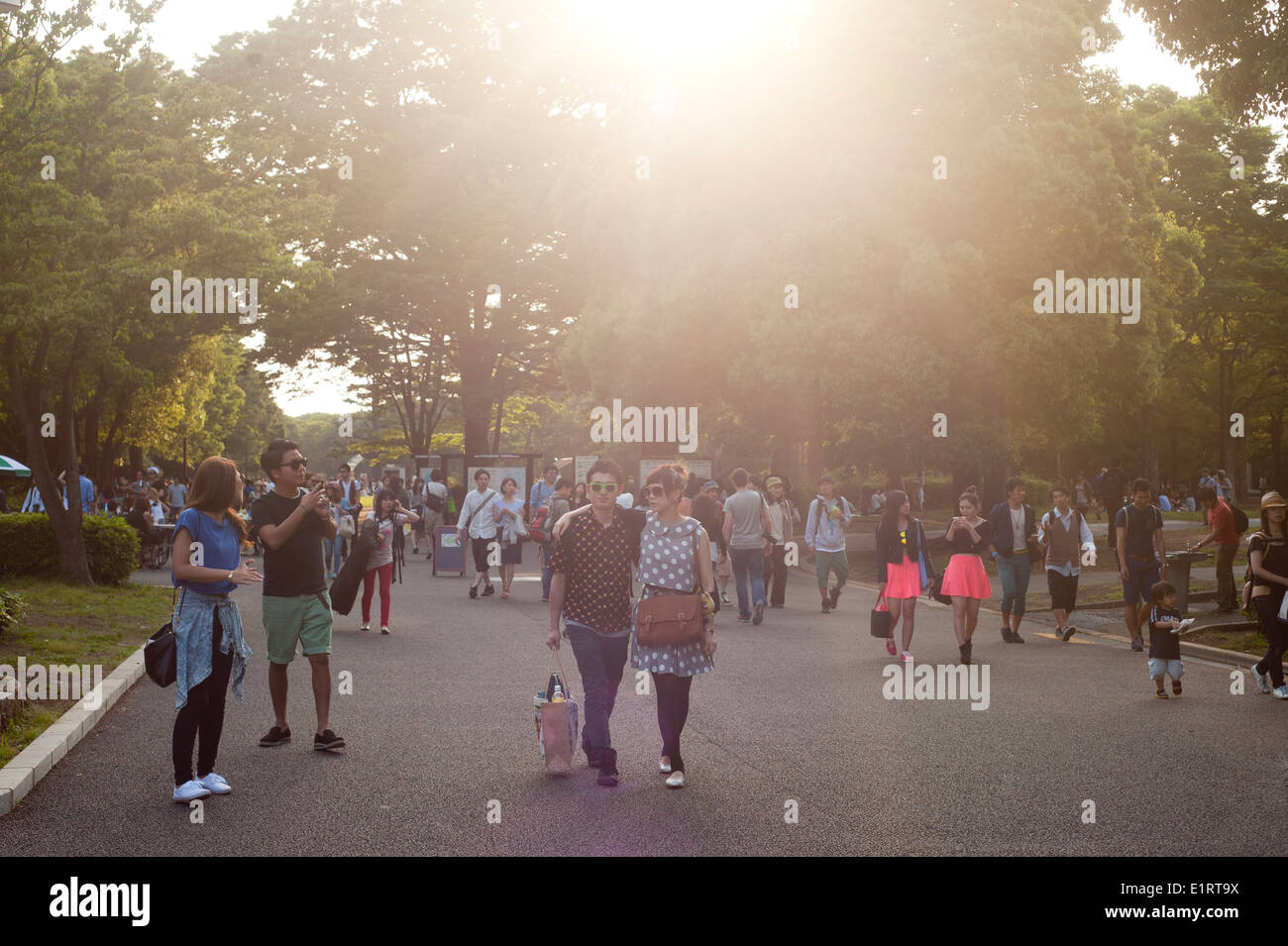 Tokyo Giappone - Maggio 2014 - Persone godendo una giornata di sole a Yoyogi Park Foto Stock