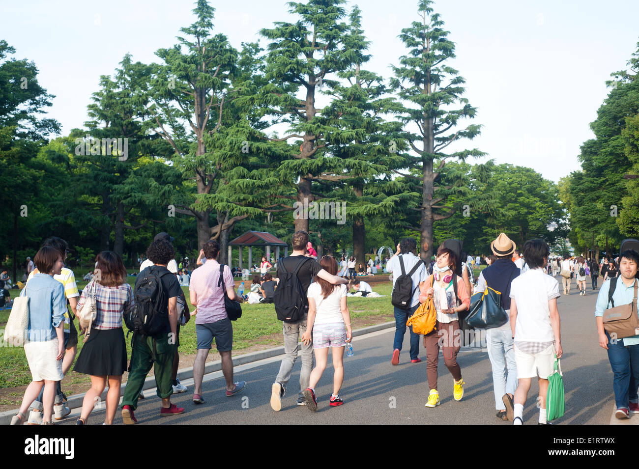 Tokyo Giappone - Maggio 2014 - Persone godendo una giornata di sole a Yoyogi Park Foto Stock