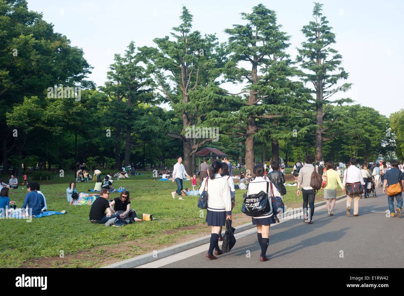 Tokyo Giappone - Maggio 2014 - Persone godendo una giornata di sole a Yoyogi Park Foto Stock
