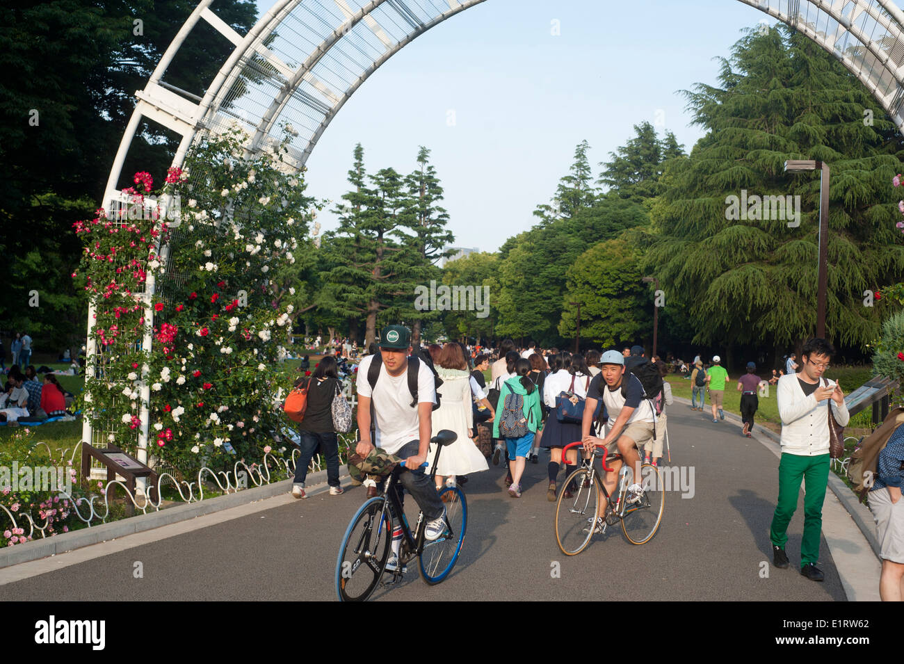 Tokyo Giappone - Maggio 2014 - Persone godendo una giornata di sole a Yoyogi Park Foto Stock