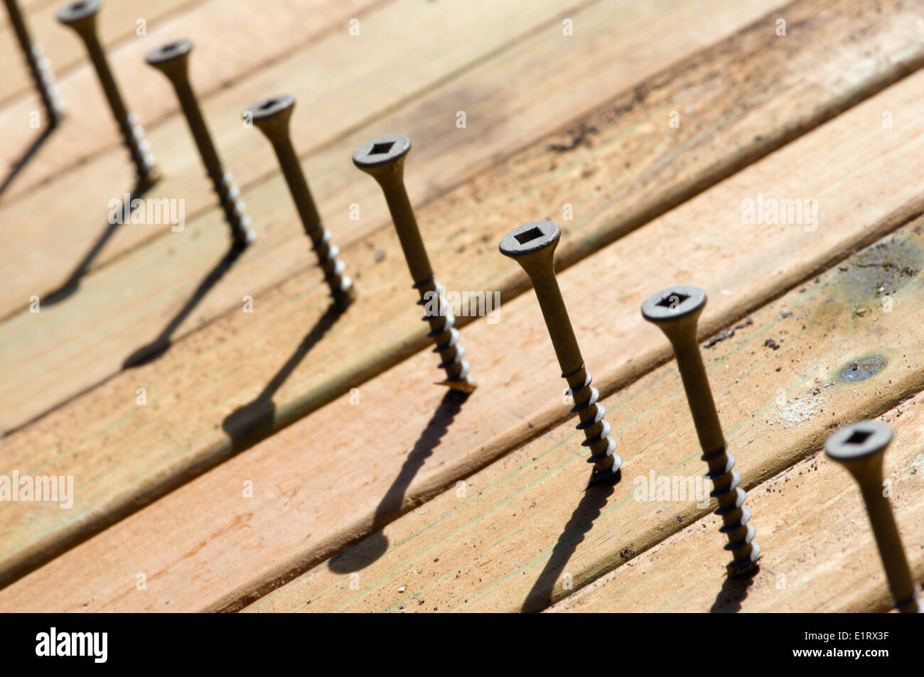 Viti per il legno in legno picchetti Foto Stock