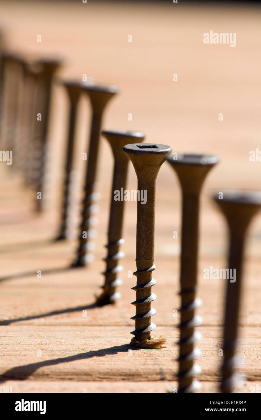 Viti per il legno in legno picchetti Foto Stock