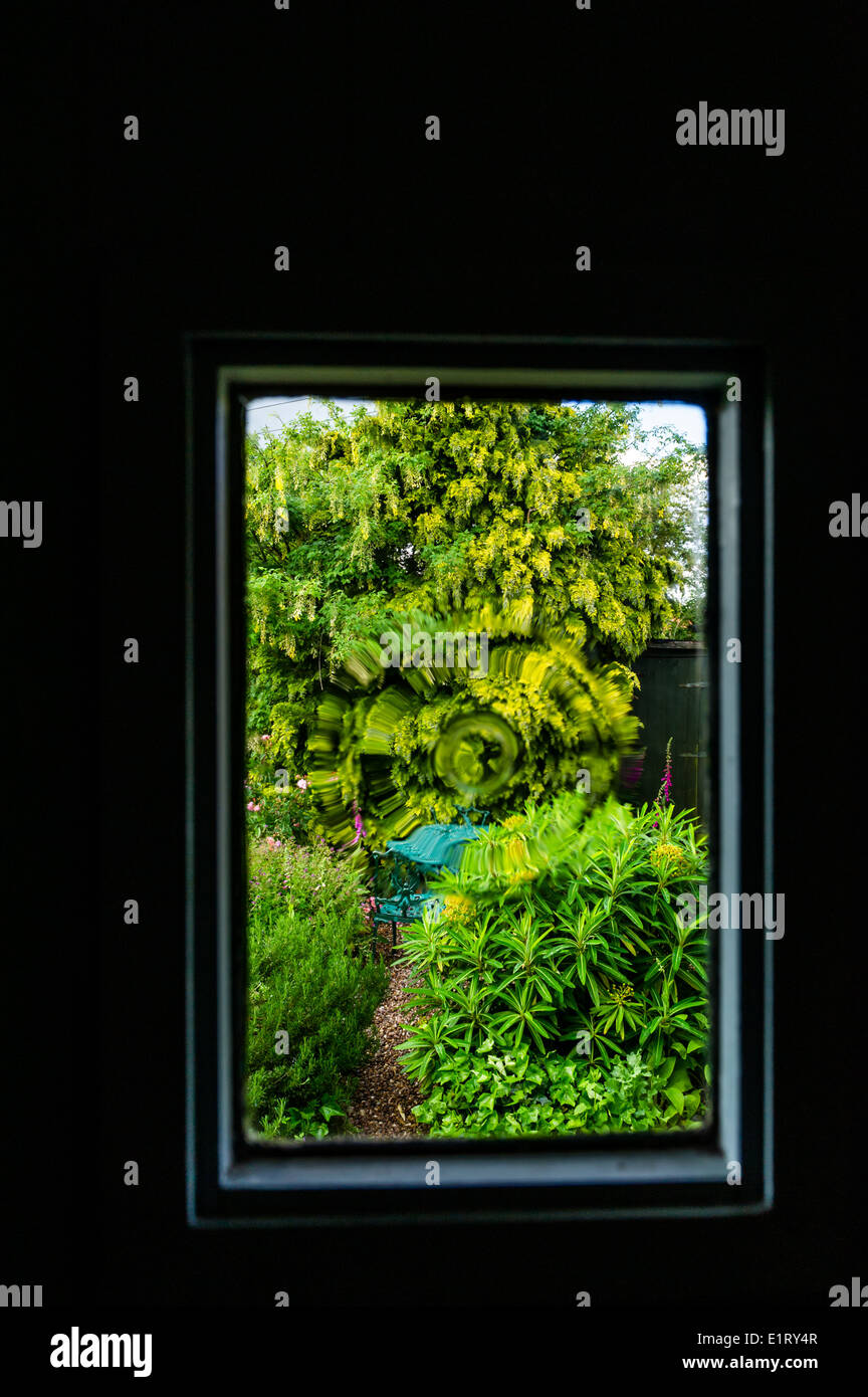 Alberi e arbusti verdi incorniciato in una piccola porta di vetro di finestra. Foto Stock