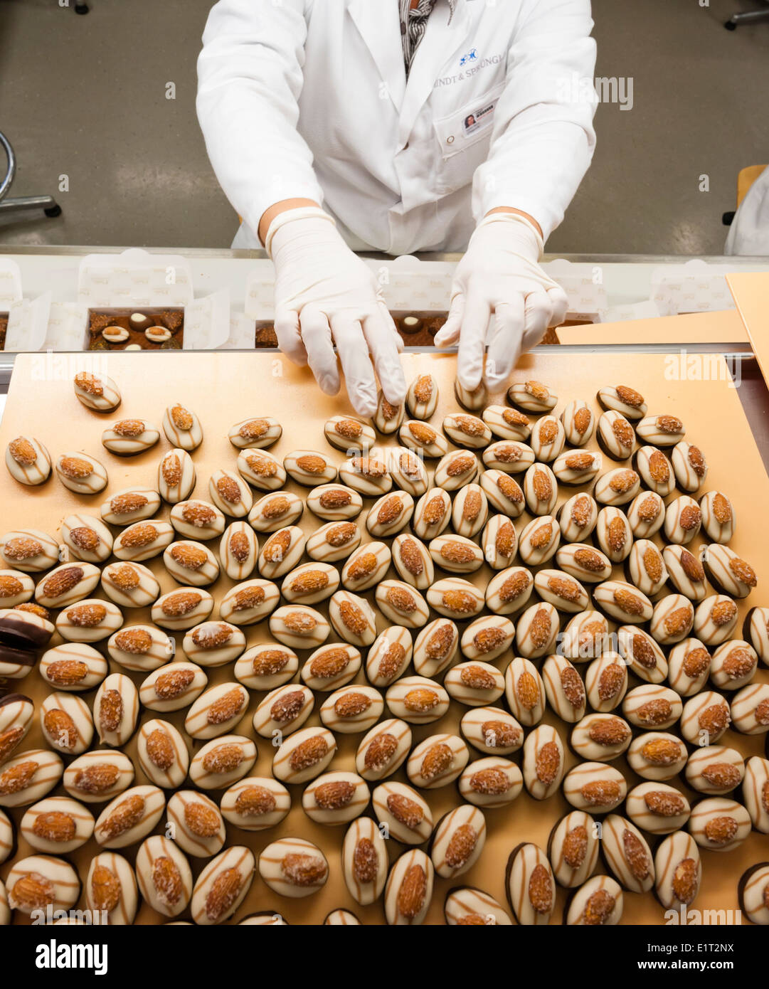 Lavoratori presso lo Swiss la fabbrica di cioccolato di Lindt & Spruengli in Zurigo / Kilchberg sono operazioni di cernita e di imballaggio di cioccolatini. Foto Stock