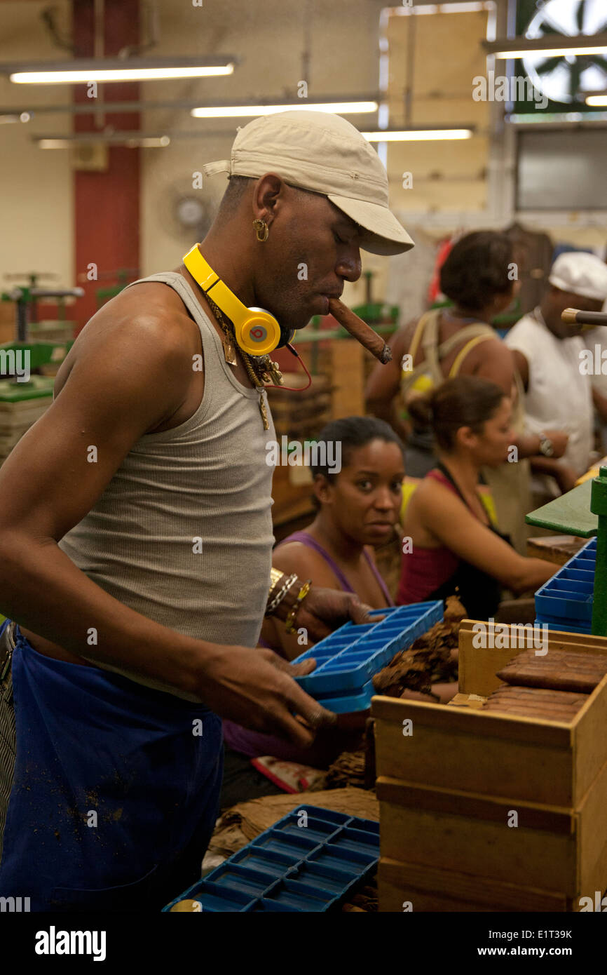I lavoratori di una fabbrica di sigari, Havana, Cuba Foto Stock