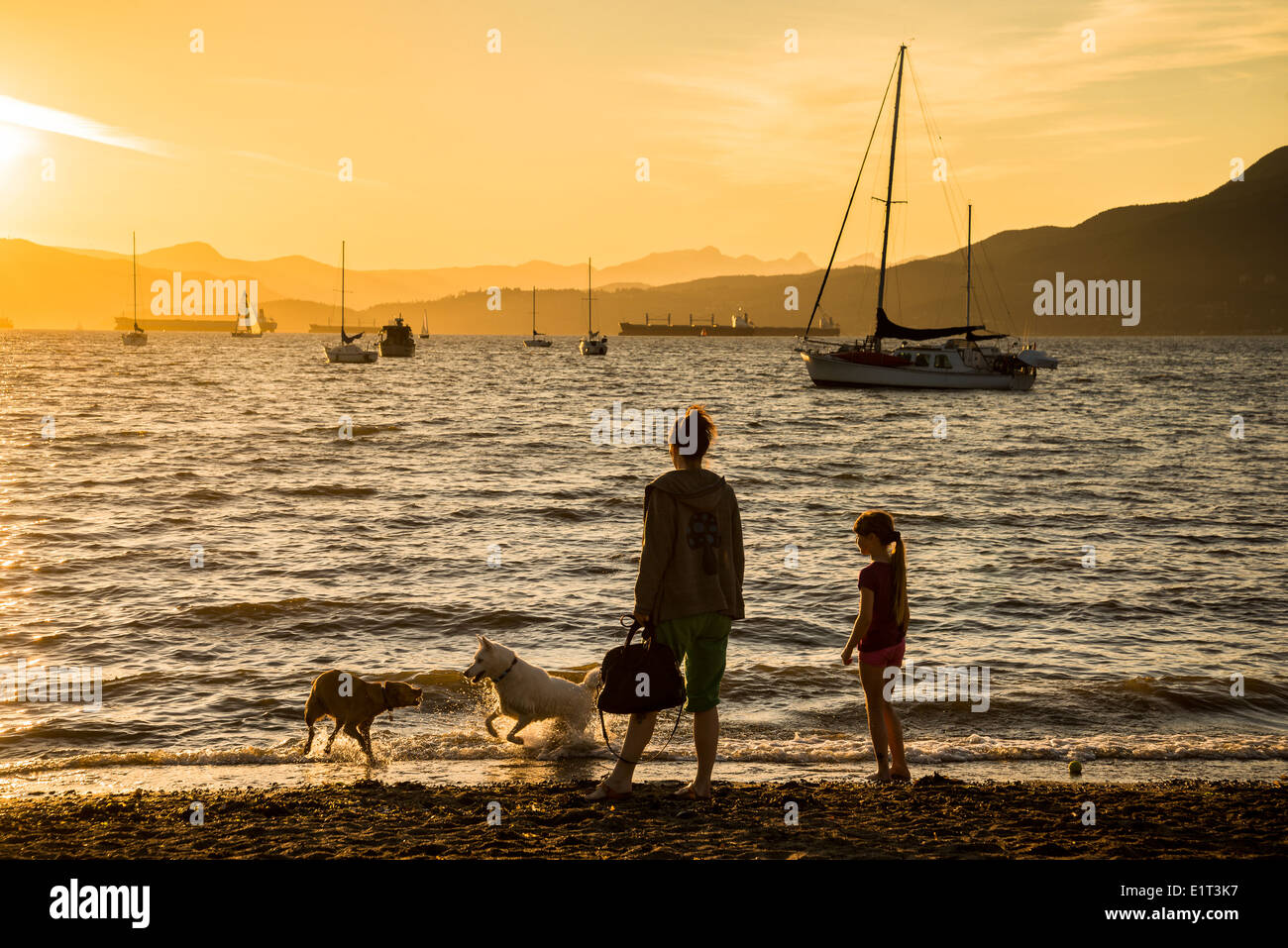 Hadden Park Beach un ufficiale cane off-guinzaglio area, Vancouver, British Columbia, Canada Foto Stock