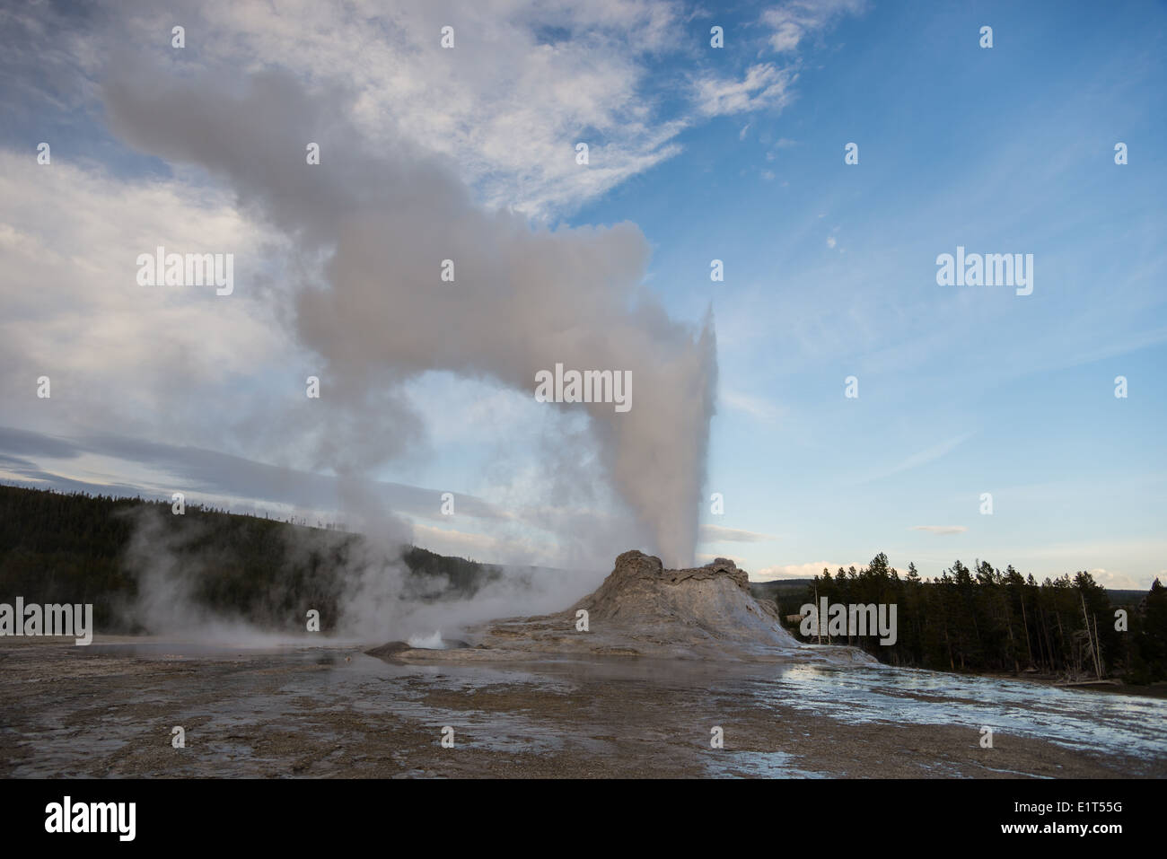 Il Castle Geyser erutta con vapore e acqua calda. Parco Nazionale di Yellowstone, Wyoming negli Stati Uniti. Foto Stock