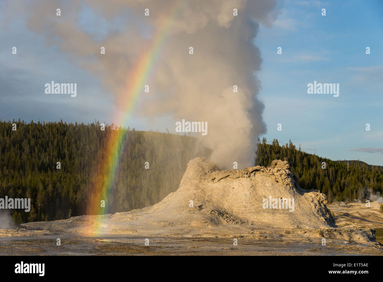 Un bellissimo arcobaleno formato durante una eruzione del Castle Geyser. Parco Nazionale di Yellowstone, Wyoming negli Stati Uniti. Foto Stock