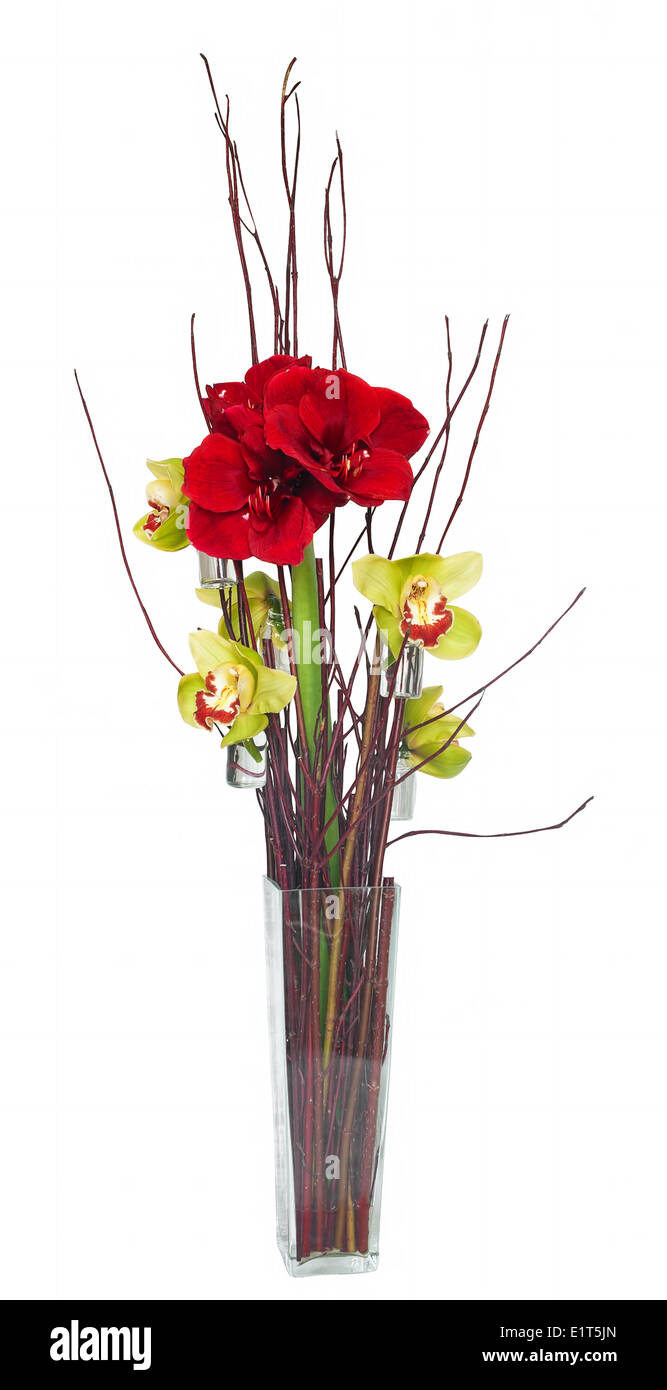 Composizione floristica con Hippeastrum rosso e Cymbidium fiori di orchidea Foto Stock