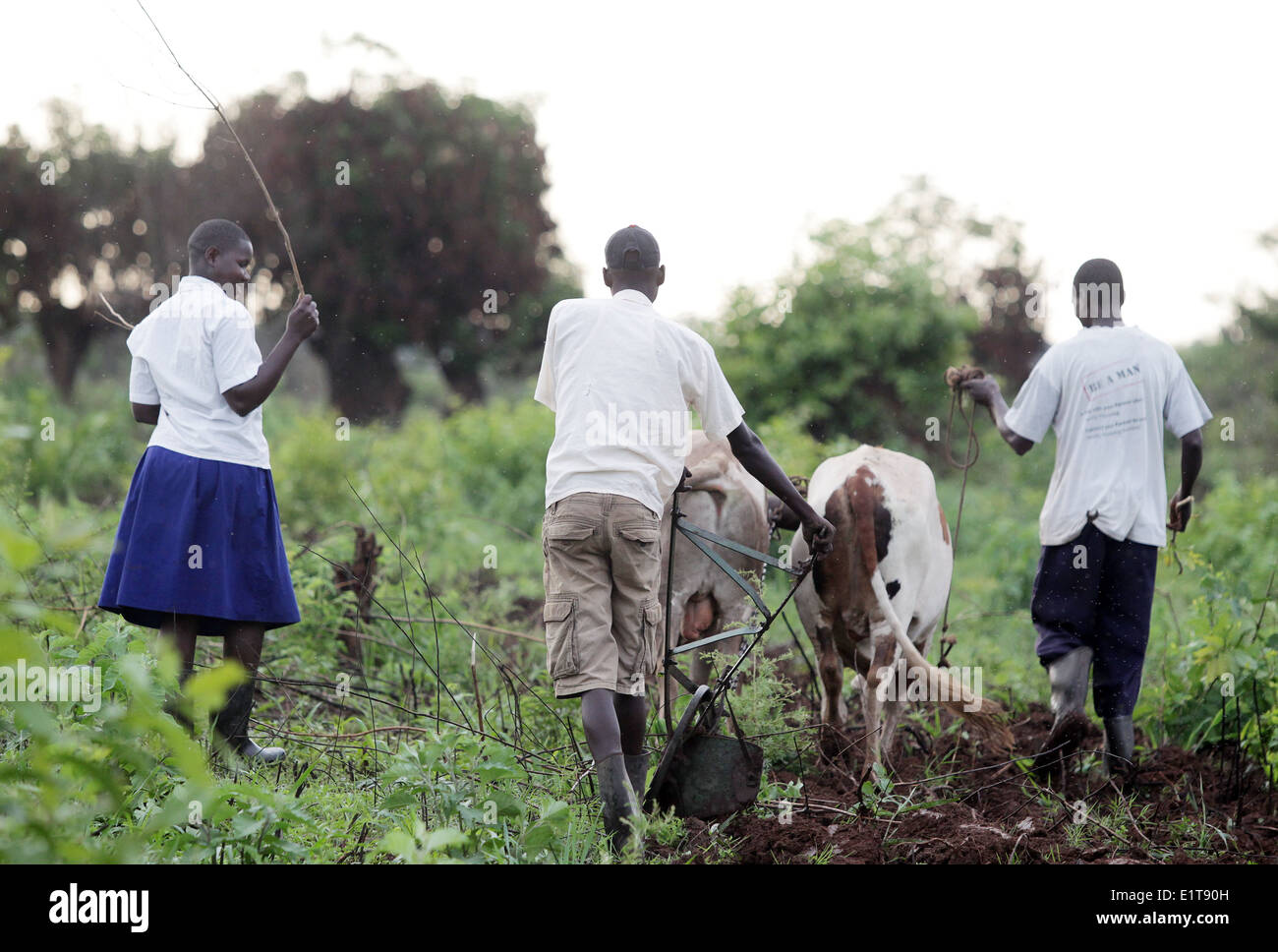 I bambini della scuola imparare le abilità da allevamento e lavora al loro ONG finanziati scuola nella regione di Nakasongola di Uganda Foto Stock