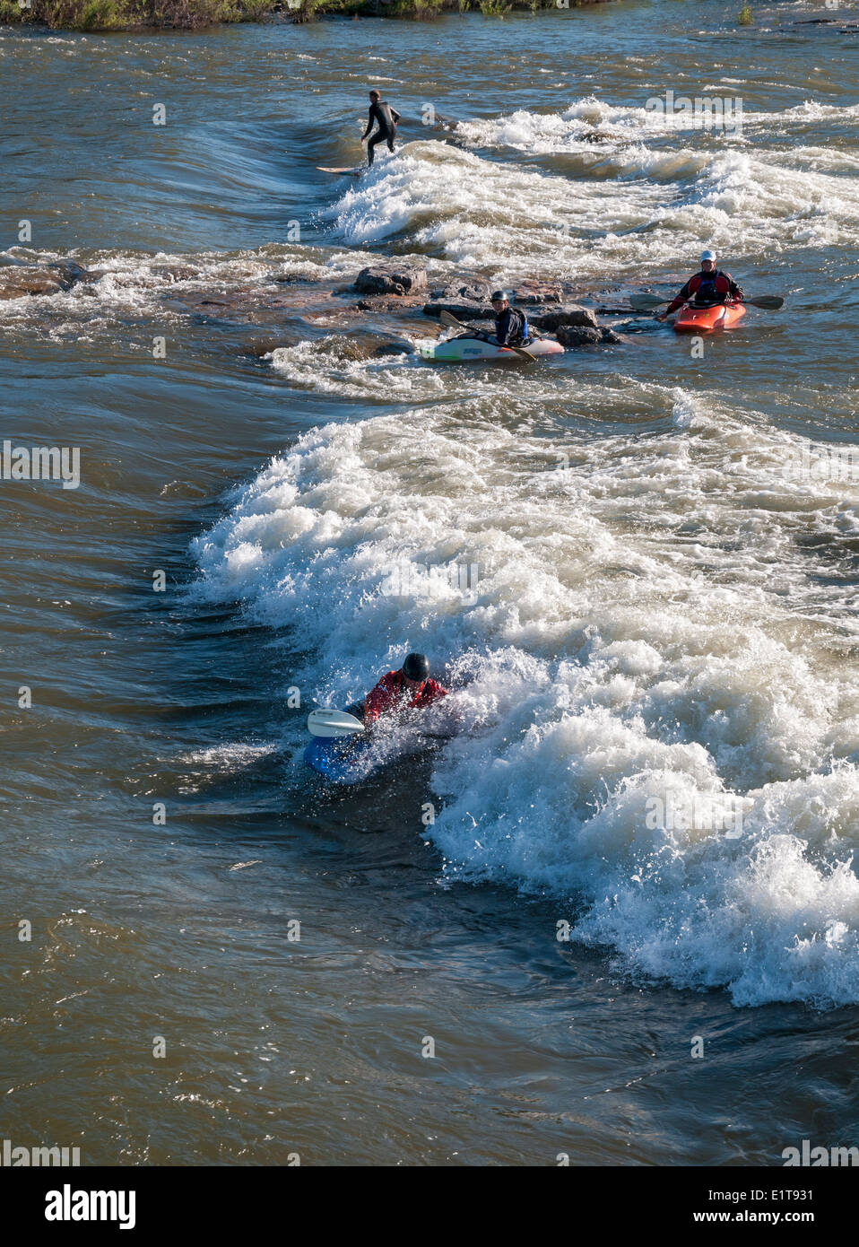 Montana, Missoula, Fiume Clark Fork, rapids vicino al centro cittadino, kayaker, surfer Foto Stock