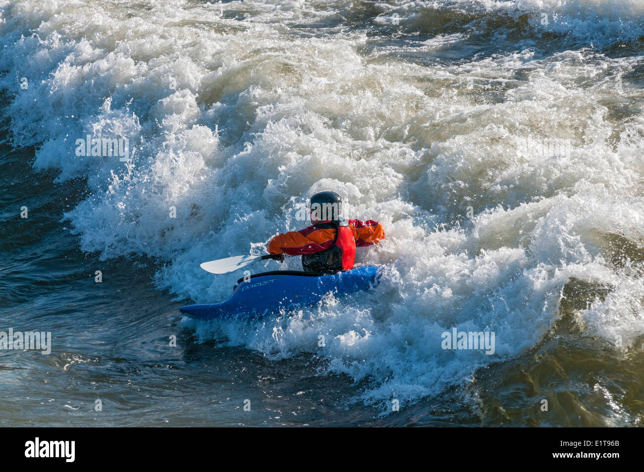 Montana, Missoula, Fiume Clark Fork, rapids vicino al centro cittadino di kayaker, Foto Stock