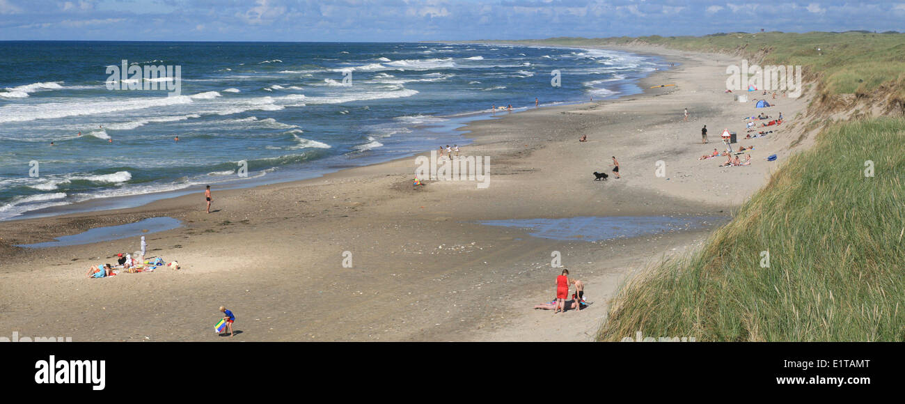 Costa del Mare del Nord in Danimarca Foto Stock