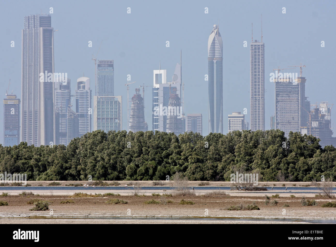 Ras Al Khor Wildlife Sanctuary con sfondo di edifici alti Foto Stock