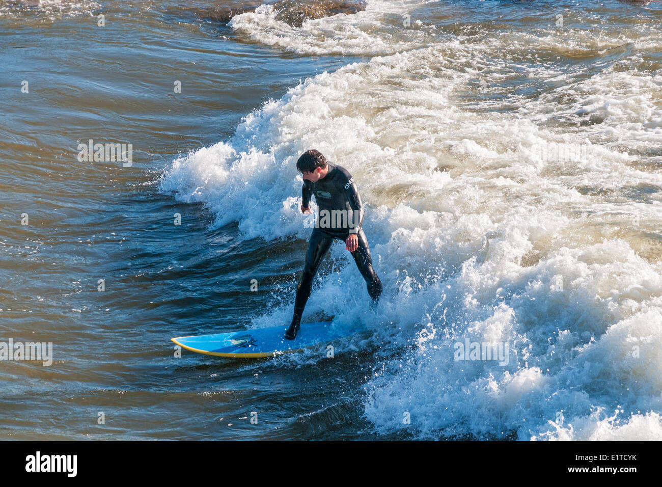 Montana, Missoula, Fiume Clark Fork, rapids vicino al centro cittadino, surfer Foto Stock