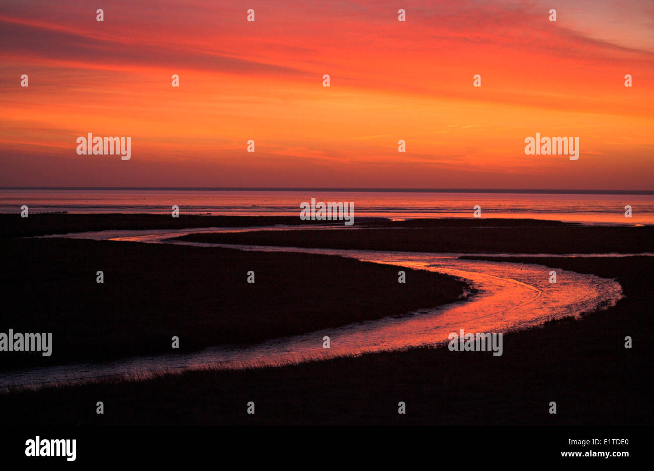 Insenatura di marea in mare di Wadden. Foto Stock