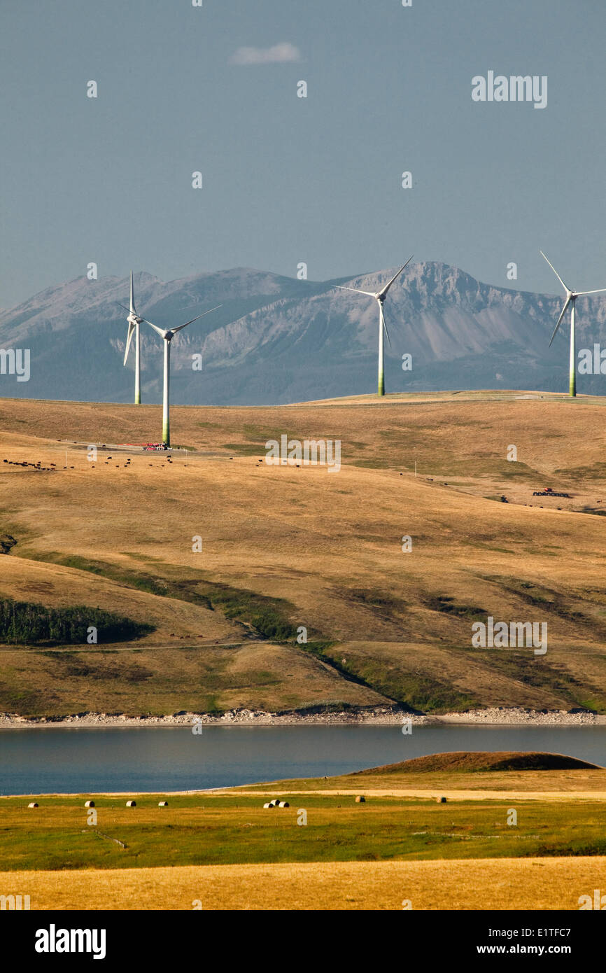 Di generazione di energia di mulini a vento in prossimità del rullo di estrazione Creek, Alberta, Canada. Foto Stock