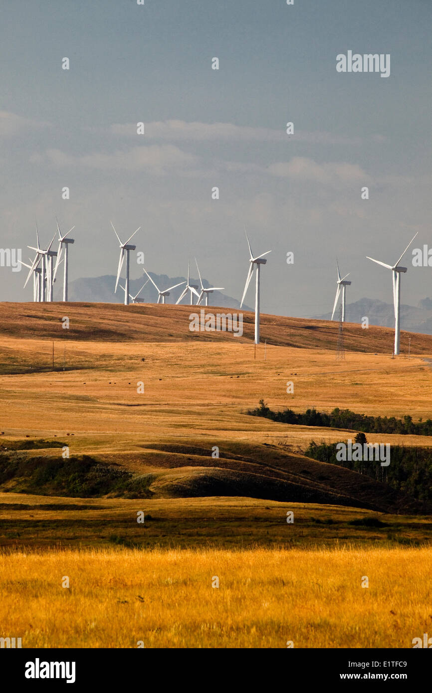 Di generazione di energia di mulini a vento in prossimità del rullo di estrazione Creek, Alberta, Canada. Foto Stock