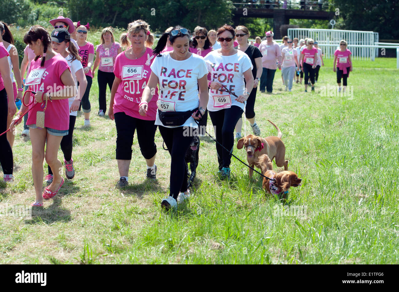 Gara per la vita, Cancer Research UK evento di beneficenza Foto Stock