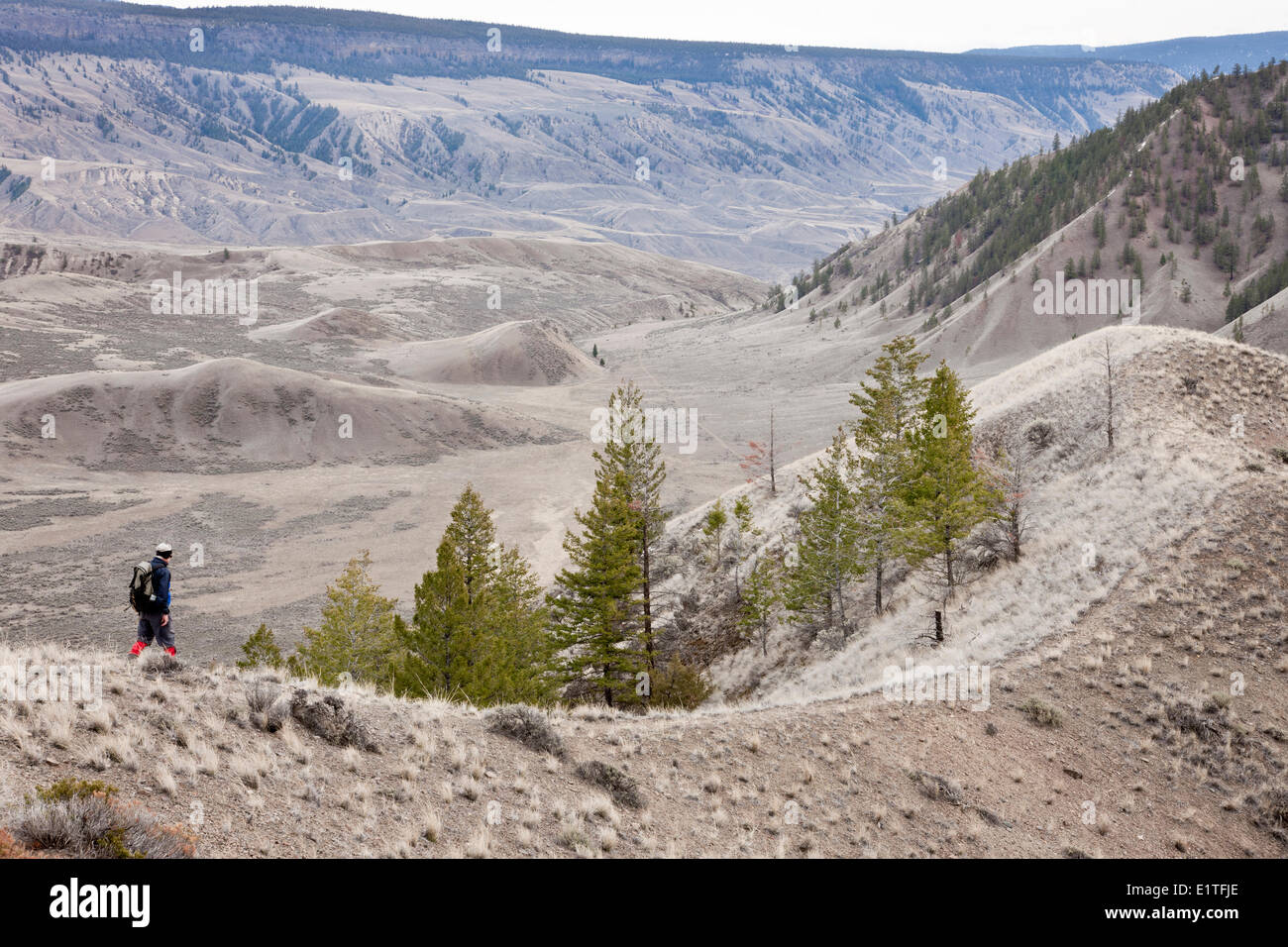 Escursionismo entro il BC praterie del Chilcotin regione della Columbia Britannica Foto Stock