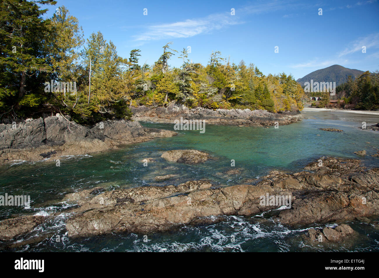 Crystal Cove alla spiaggia di MacKenzie vicino a Tofino British Columbia Canada sull'Isola di Vancouver a Clayoquot Sound Biosfera UNESCO Foto Stock