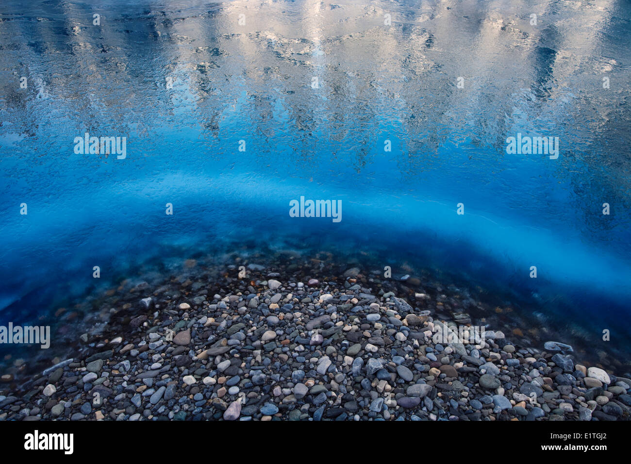Tree riflessioni sul ghiaccio a Prati di canoa a Kananaskis Country, Alberta, Canada Foto Stock