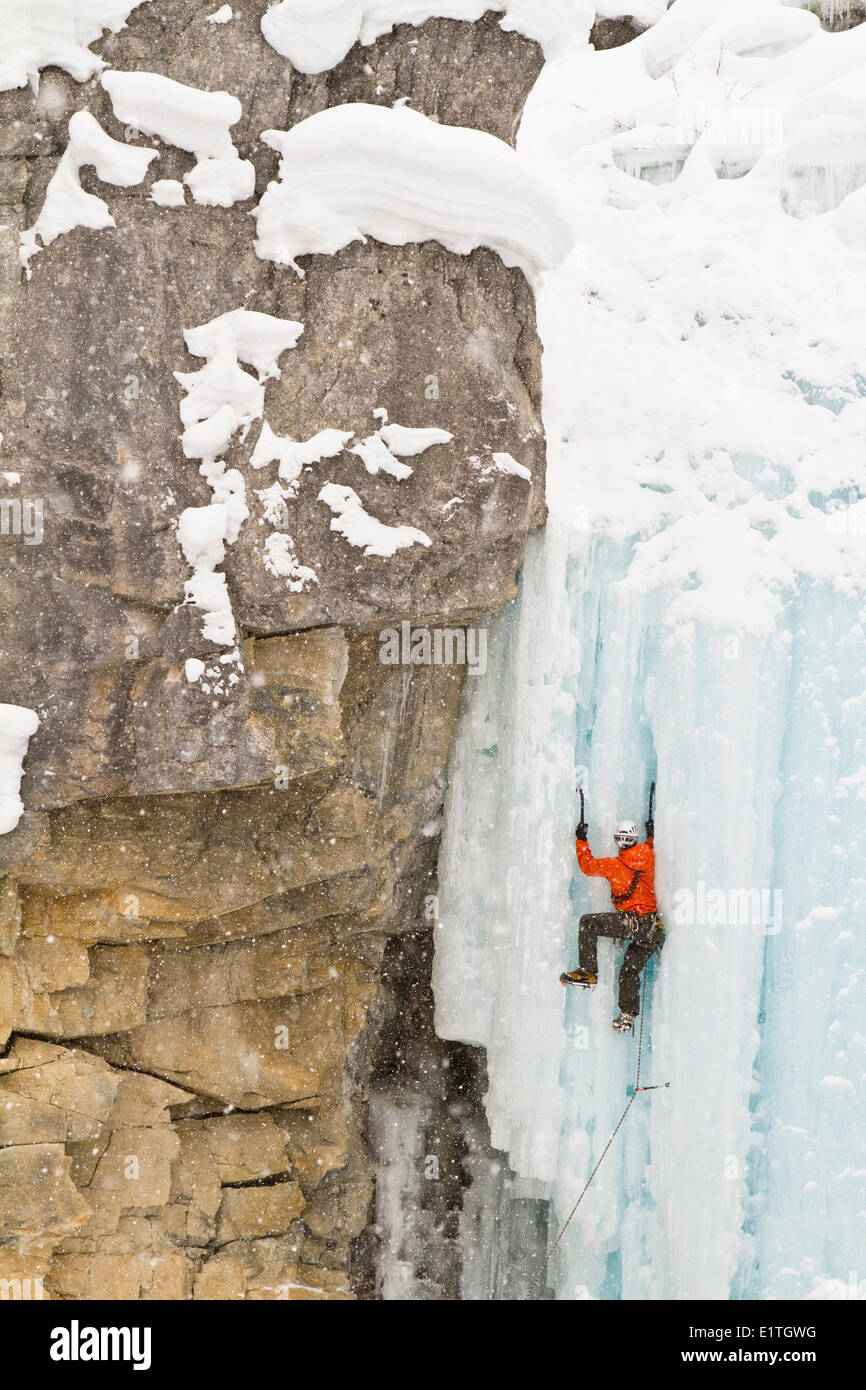 Giovane uomo ice-climbing nel Parco Nazionale di Banff vicino a Banff, Alberta, Canada. Foto Stock