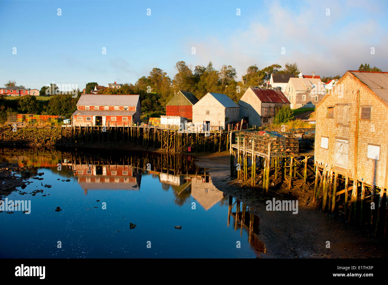 Capannone di pesca si riflette in porto con la bassa marea, Guarnizione Cove, Grand Manan Island, Baia di Fundy, New Brunswick, Canada Foto Stock