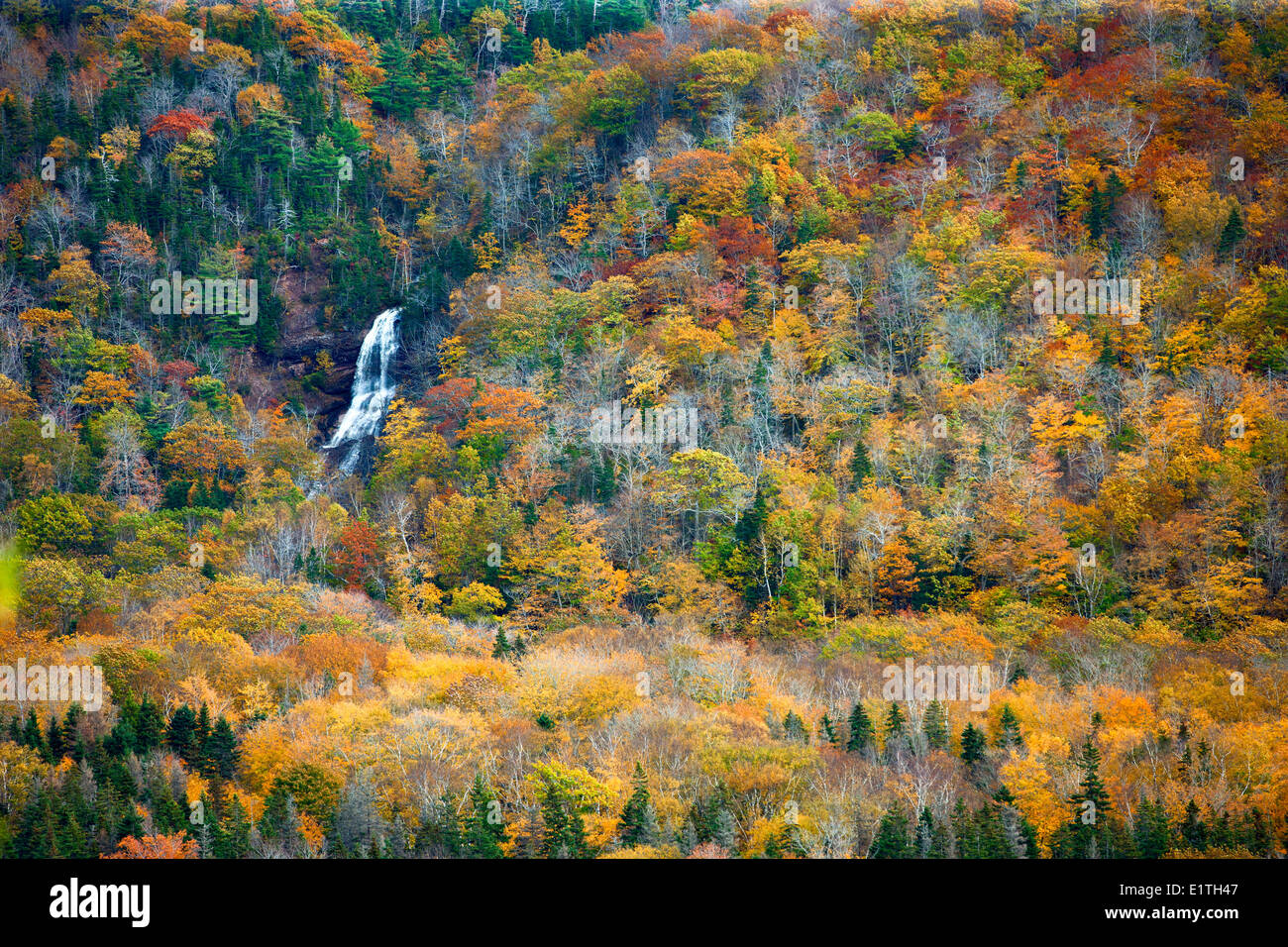 Vista del divieto Beulach Falls, Cape Breton Highlands National Park, Cape Breton, Nova Scotia, Canada Foto Stock