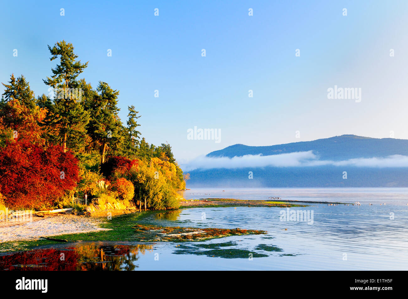 La mattina presto a Cherry Point spiaggia vicino Cowichan Bay, BC. Saltspring Island è in background. Foto Stock