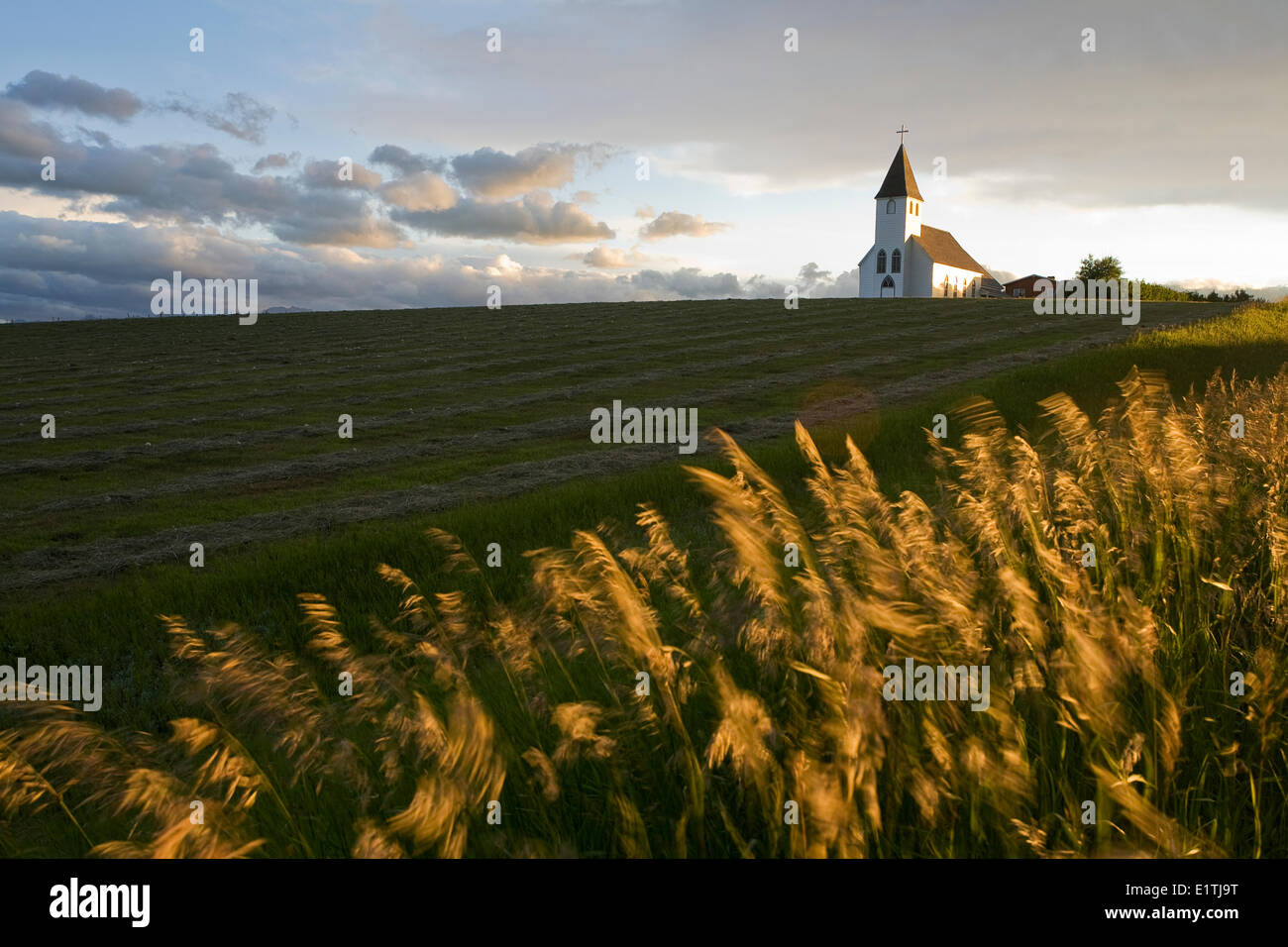 Tramonto sul campo di fieno e chiesa di Santa Maria in prossimità del rullo di estrazione Creek, Alberta, Canada. Foto Stock