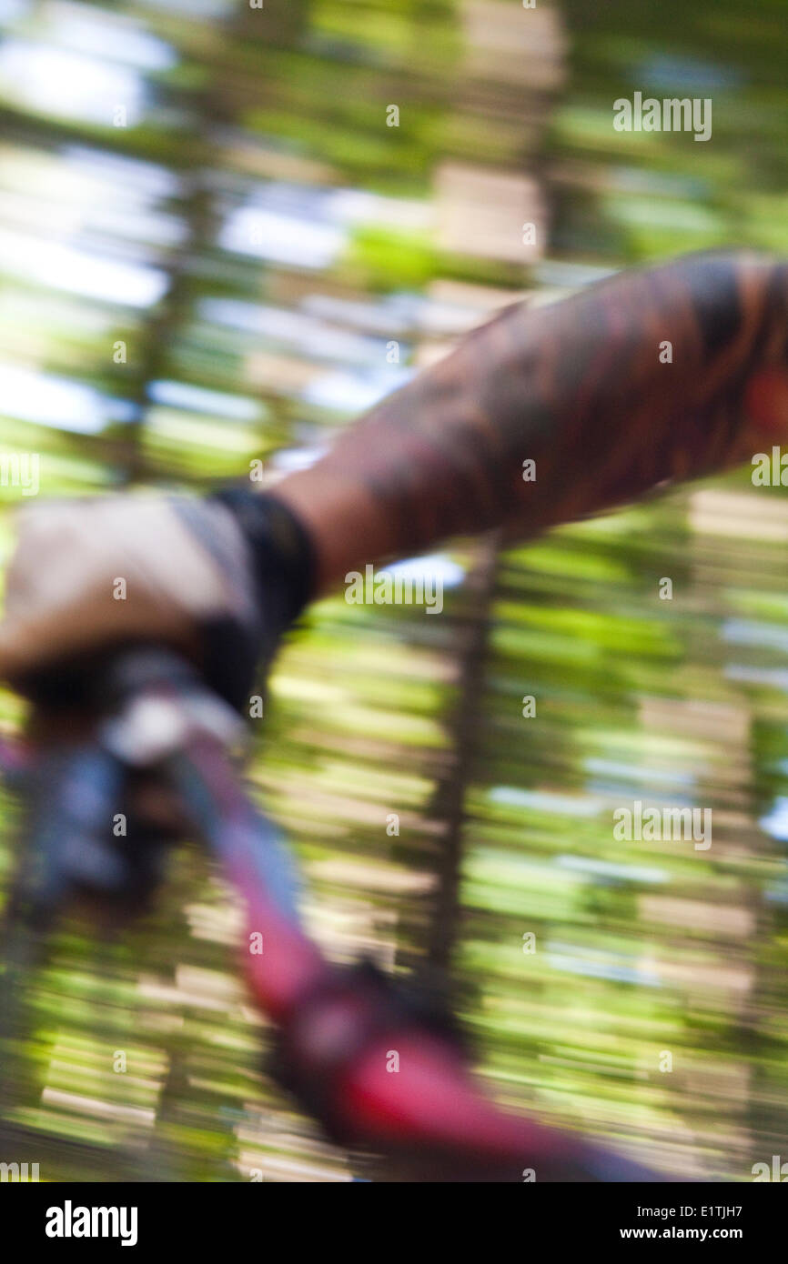 Due maschio mountain bikers a cavallo di un sentiero con salti. Full Nelson Trail, Squamish, BC Foto Stock