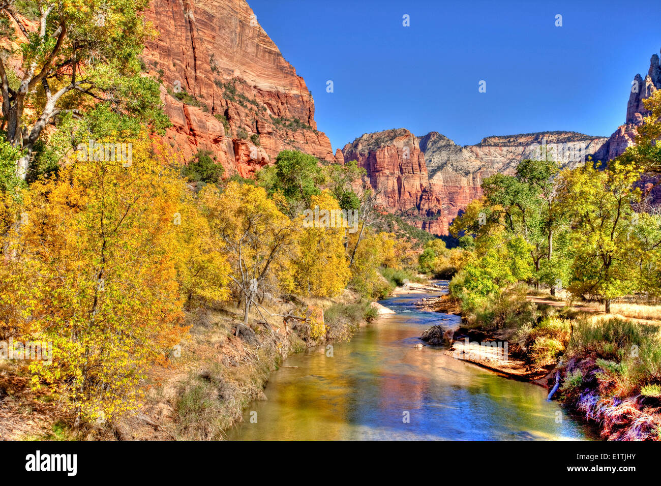 North Fork fiume vergine, Parco Nazionale Zion, Utah, Stati Uniti d'America Foto Stock