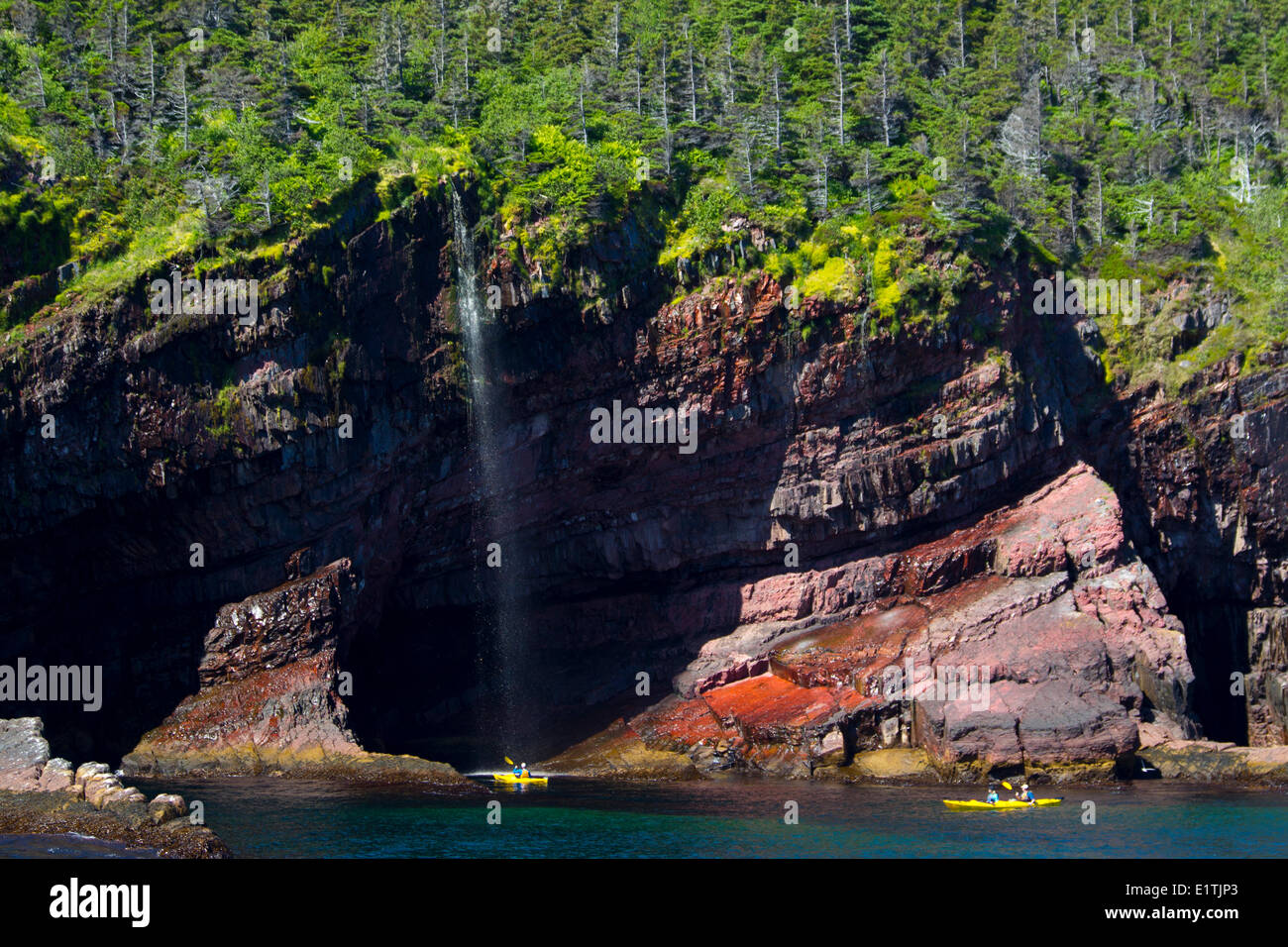 Kayak di mare lungo Rupi costiere, Witless Bay Riserva Ecologica, Terranova, Canada Foto Stock