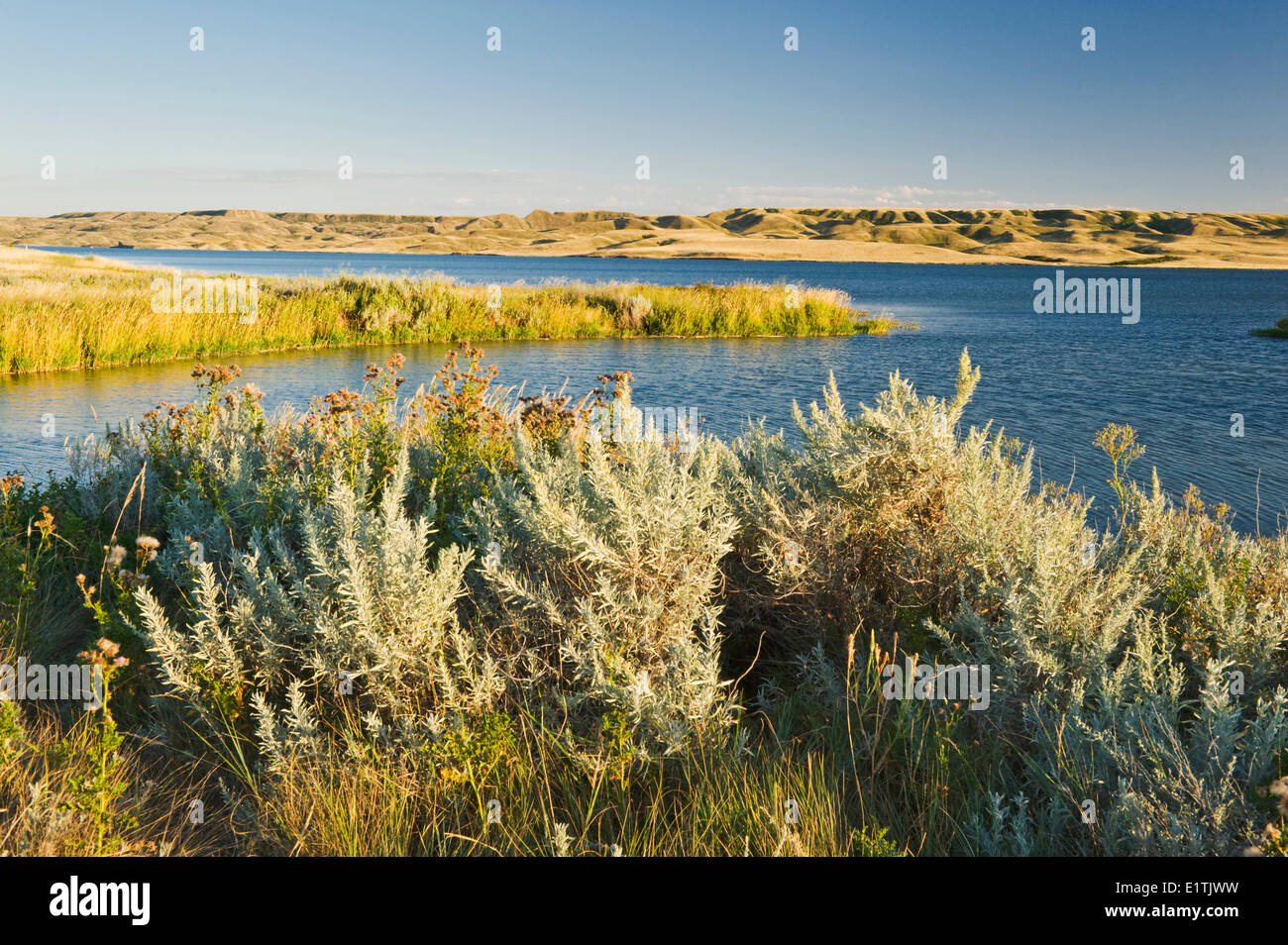 Saskatchewan Landing Parco Provinciale con il lago Diefenbaker in background, , Saskatchewan, Canada Foto Stock