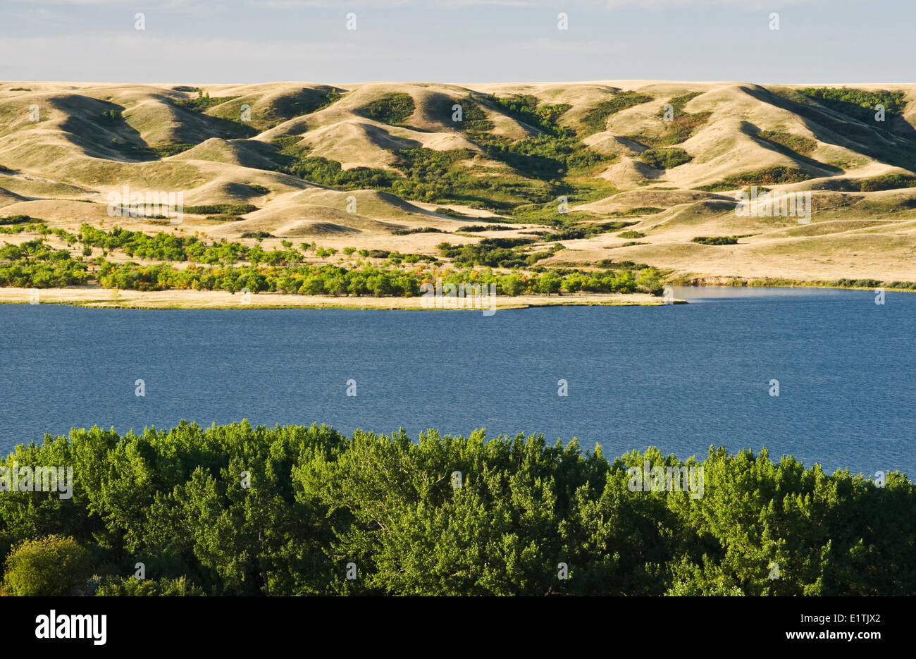 Saskatchewan Landing Parco Provinciale con il lago Diefenbaker in background, , Saskatchewan, Canada Foto Stock