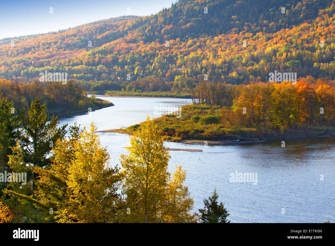 Il fiume Restigouche in autunno, Quebec, Canada Foto Stock