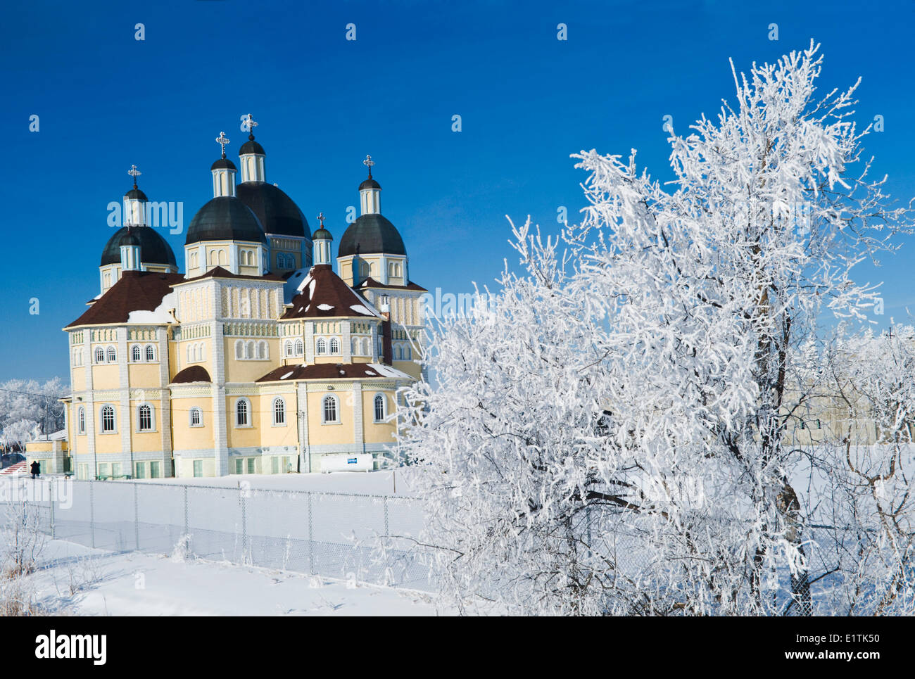 Frost alberi coperti/ Immacolata Concezione Chiesa, Cuochi Creek, Manitoba, Canada Foto Stock