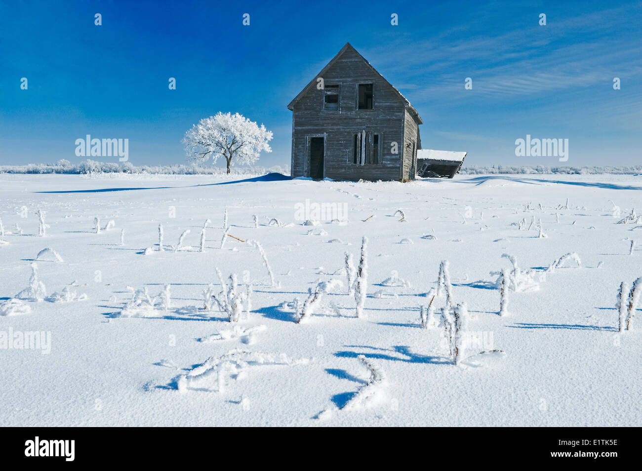 Vecchia fattoria,vicino Beausejour, Manitoba, Canada Foto Stock